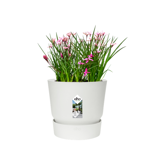 greenville round 16cm white